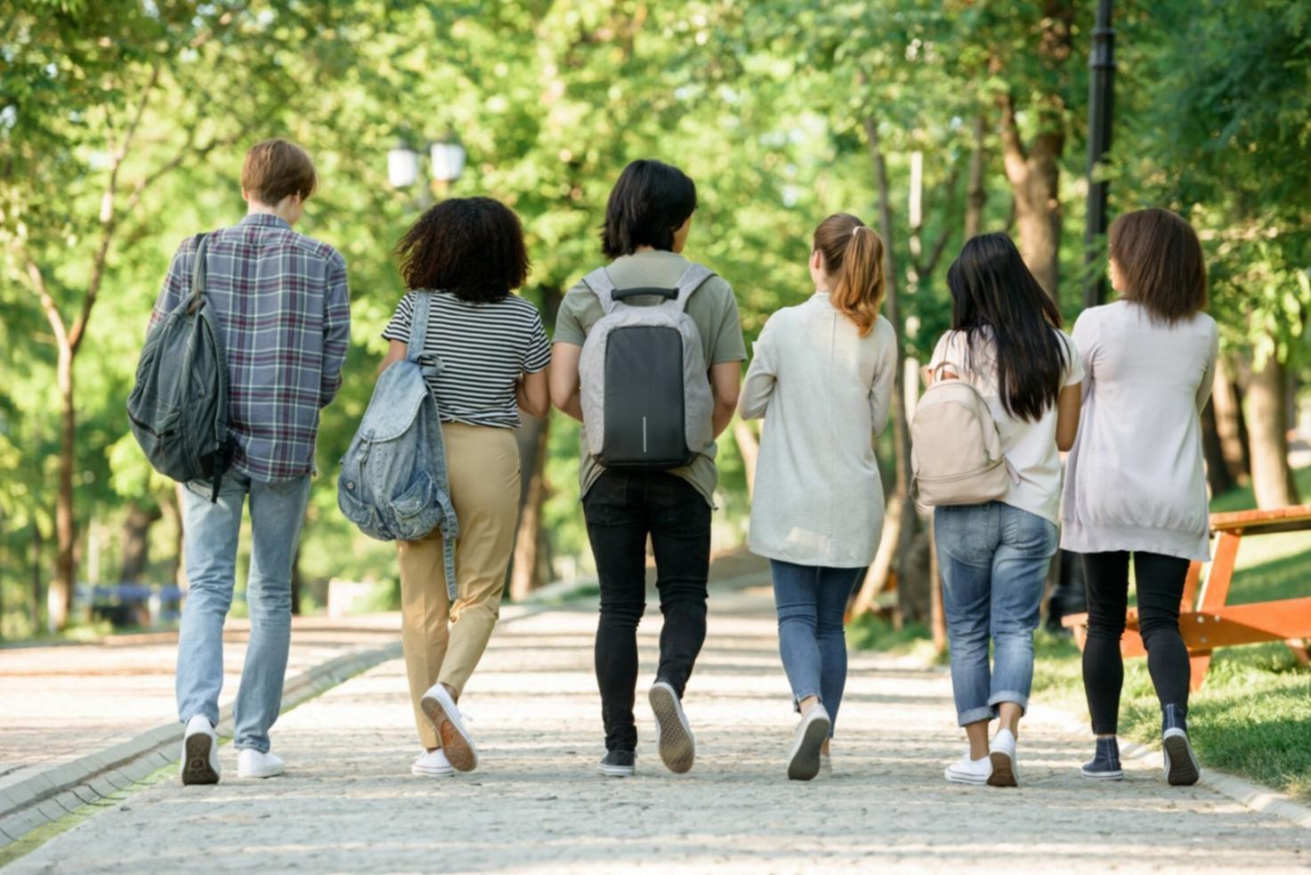 Equipo de trabajo colaborativo